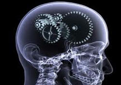 Hafıza geliştirme yöntemleri