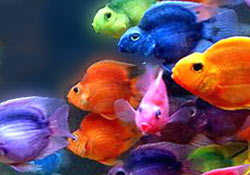 5 ayda 25 bin yeni şirket kuruldu