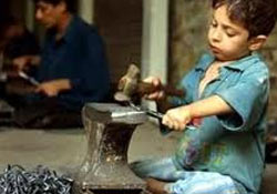 'Her Yıl 7 Milyon Çocuk İşçi Hayatını Kaybediyor'