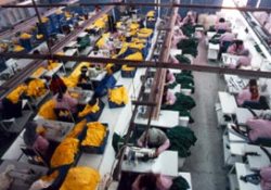 8 bin 689 ürüne 'uygunsuz' raporu