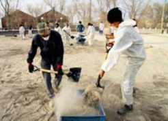 Küller binlerce canlıyı öldürdü