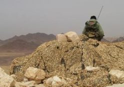 Mısır muhafızları İsrail'e 'kuş uçurtmuyor'