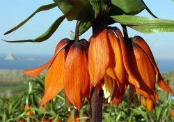 İhracatta en fazla artış su ürünlerinde