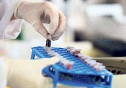 En ilginç bilimsel araştırma sonuçları