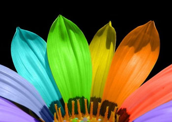 Dünya hayatı ancak bir oyun ve eğlencedir