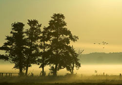 Ruhlar bu dünyayı nasıl gezer?