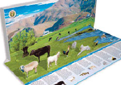 Çocuklar için “ekolojik köy”