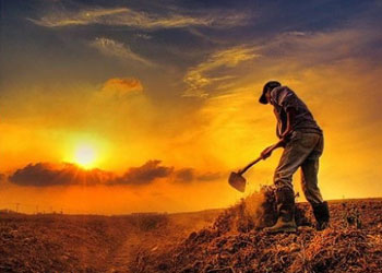 Herkes kazandığının karşılığını tastamam alır