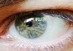 Ailede glokomu olanlarda risk daha fazla