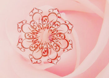 Bunu Allah’ı şahid tutarak yapmayın