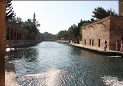 Balıklıgöl'de balık azaldı