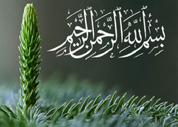 Bismillah varlıklar üzerinde nasıl etki eder?