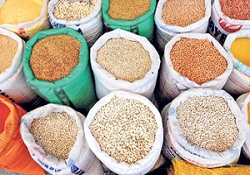 Hububatta rekolte düştü kalite arttı