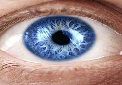 Göze zararlı bir şey gelirse bol su ile yıkayın