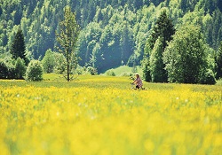 Mevsimsel depresyonun ilacı 'gün ışığı'