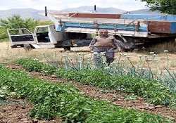 Taşıma su ile değirmen dönüyormuş