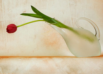 İman ve haya beraber bulunur, biri alınırsa