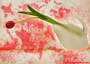 Hz. Muhammed (S.a.v) onlara beddua etti