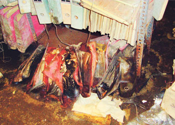 Said Nursi'nin yargı arşivinden çıkan kitapları