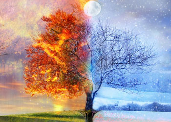 Bediüzzaman'dan dünya ve ahiret tavsiyesi