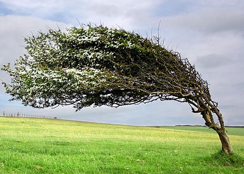 Çekişmeyin sonra gücünüz elden gider