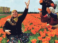 Dünyanın kaçıncı mutlu ülkesiyiz?