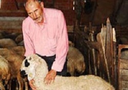 Çorum'dan şaka gibi haber !