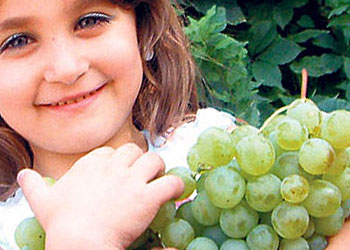 Şifa dolu meyve üzüm, süt kadar önemli