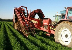 Tarımda dünya 7'ncisiyiz