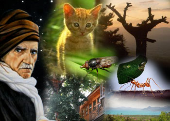 Bediüzzaman'ın yalnızlığını paylaştığı dostları