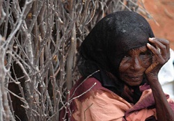 Kenya, sınırlarını kapadı