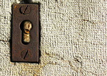 Birbirinin gizli hallerini araştıranlar...