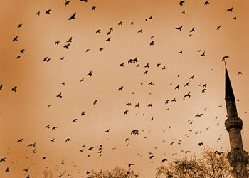 Ramazan bizleri ruhumuza kavuşturur