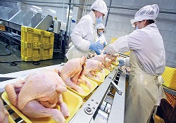 Pahalı et, tavuk şirketlerini İSO 500'de kanatlandırdı