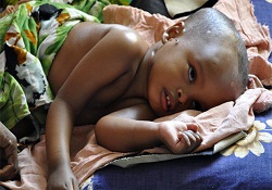 Afrika’da Serdengeçti Olmak