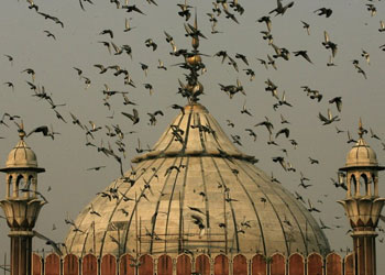 Şevval orucu ne zaman tutulur? - Video