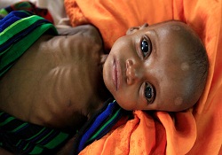 Her gün 800 kişi ölüyor