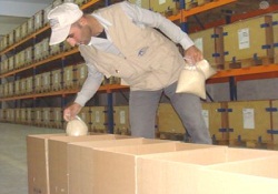 Somali'ye ilk yardım uçağı 8 Ağustos'ta yola çıkıyor