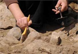 Hacılar Höyüğü'nde insan kafatası