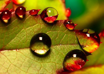 Üstad Bediüzzaman hiçbir şartta durmadı