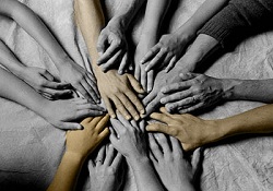 Hakkarili esnaftan örnek davranış