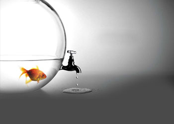 Birçoğu bundan sonra da aşırı gitmektedir