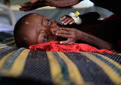 Müslüman bunun hesabını veremez