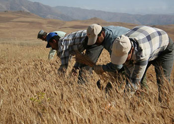Sadaka ve oruç, efendimizin(s.a.v) vasiyetidir