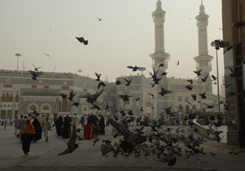 Mekke’de güvercinler de iftar eder!-FOTO