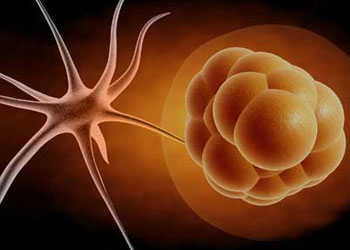 Oruç kanseri başlamadan engelliyor