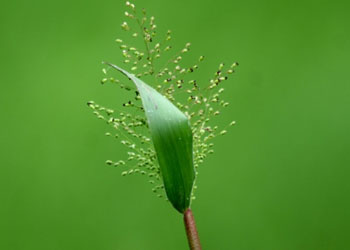 Öyleyse insan neden yaratıldığına bir baksın