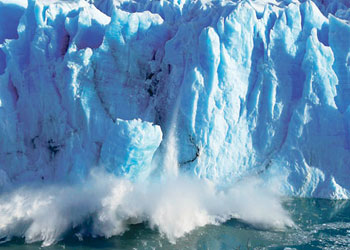 Dünya sisteminde herşey birbiriyle alakalı