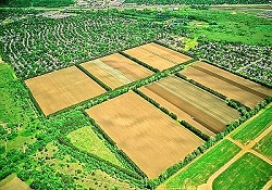 Toprak, Altın Devrini Yaşıyor