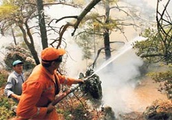 Marmaris'te 4 hektarlık orman yandı